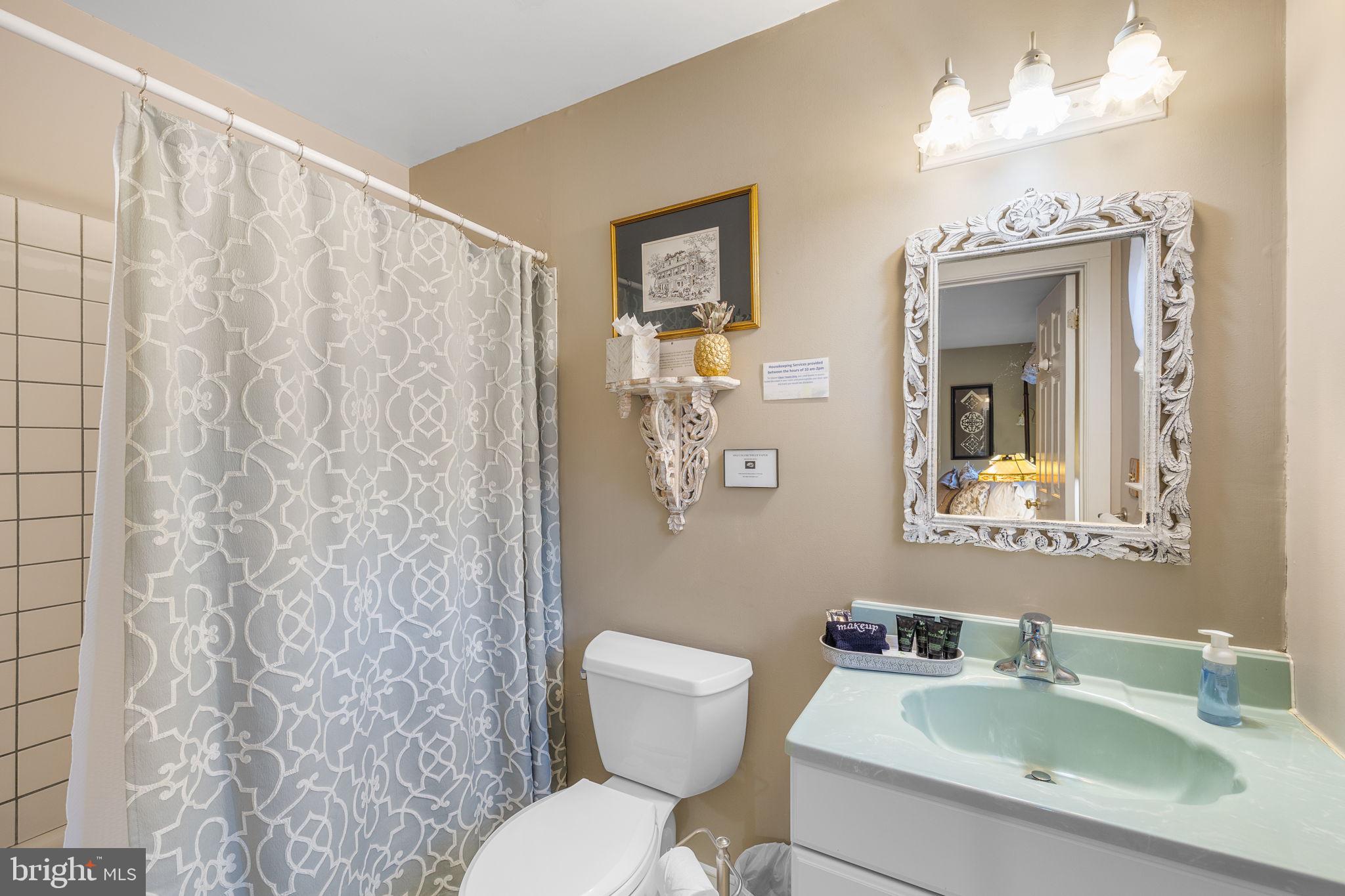 1324 River Road New Hope, PA 18938 - Photo 35 of 70 a bathroom with a toilet sink and mirror