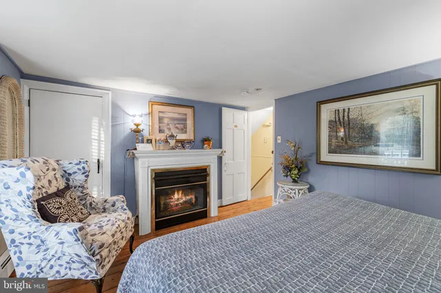 a view of a big yard with plants and large trees