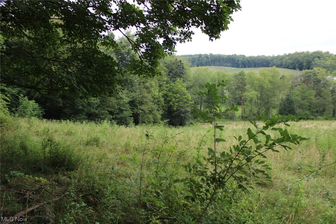 2 Fargo Road Southwest Dellroy, OH 44620 - Photo 9 of 17