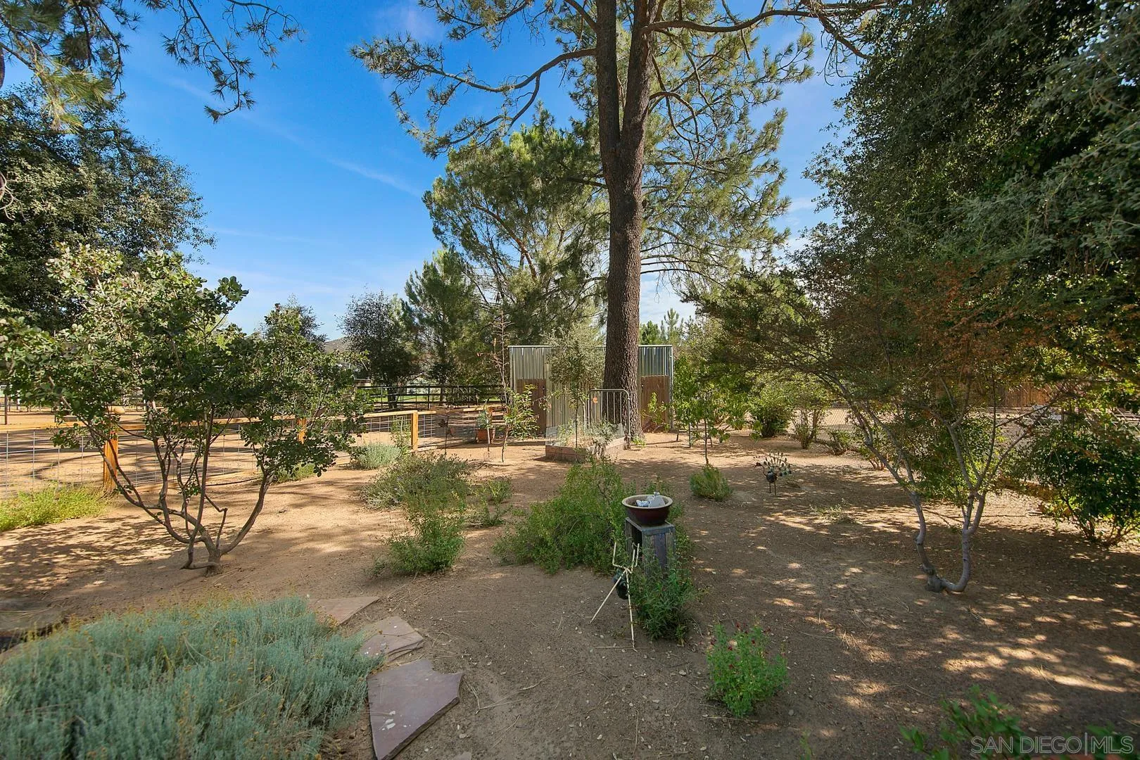 28710 Lone Pine Trail Pine Valley, CA 91962 - Photo 38 of 46 a view of yard with tree