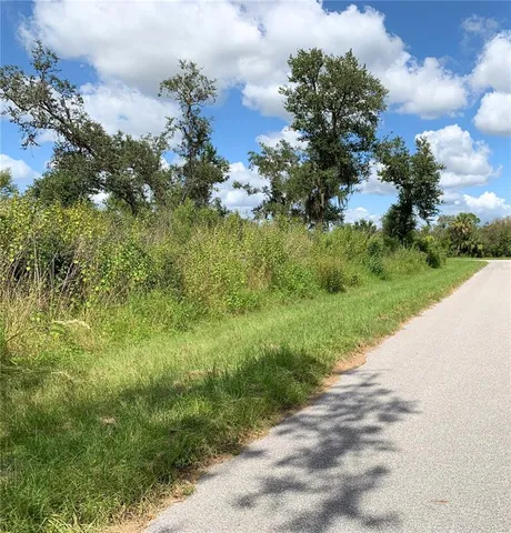 a view of a garden with a flower