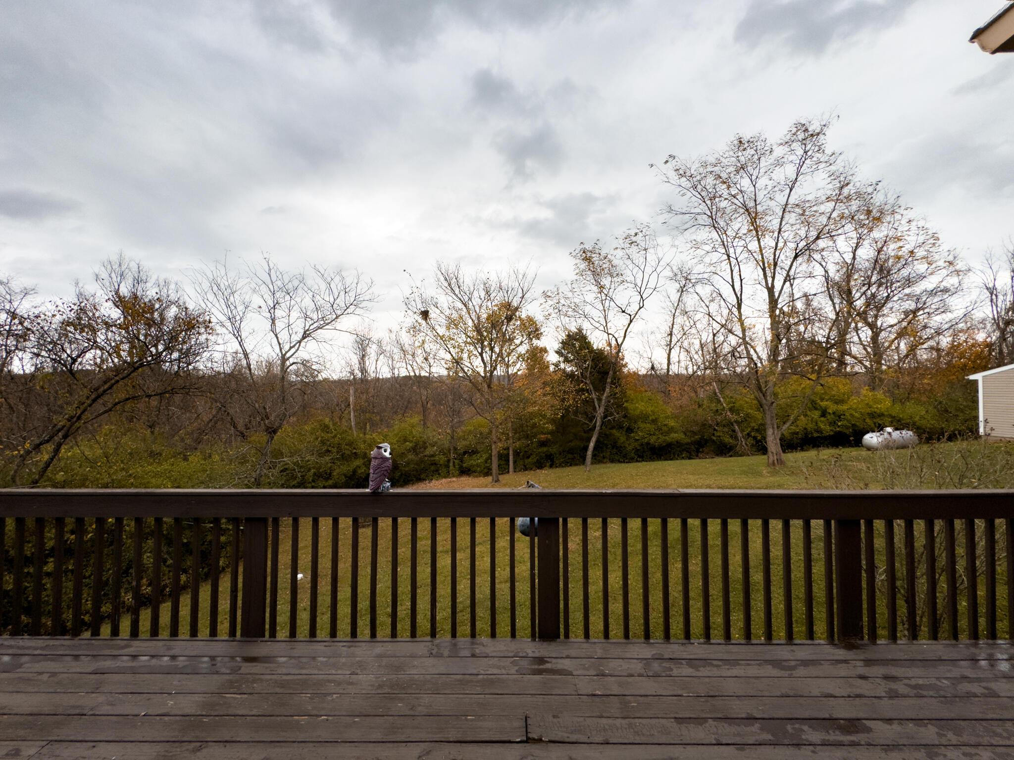 7962 Howe Road Burlington, KY 41005 - Photo 25 of 26 Gallery Image 25