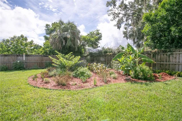 a view of a backyard with plants and large tree