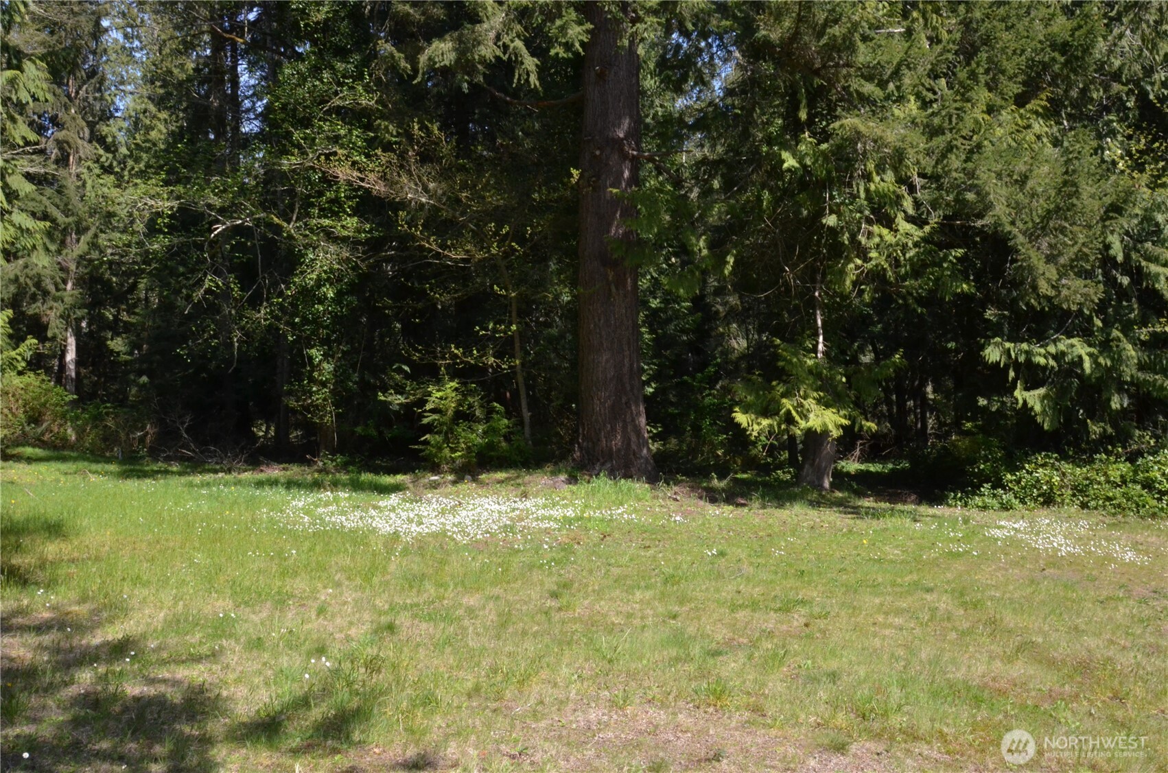 9480 Oak Bay Road Port Ludlow, WA 98365 - Photo 7 of 9 Gallery Image 7