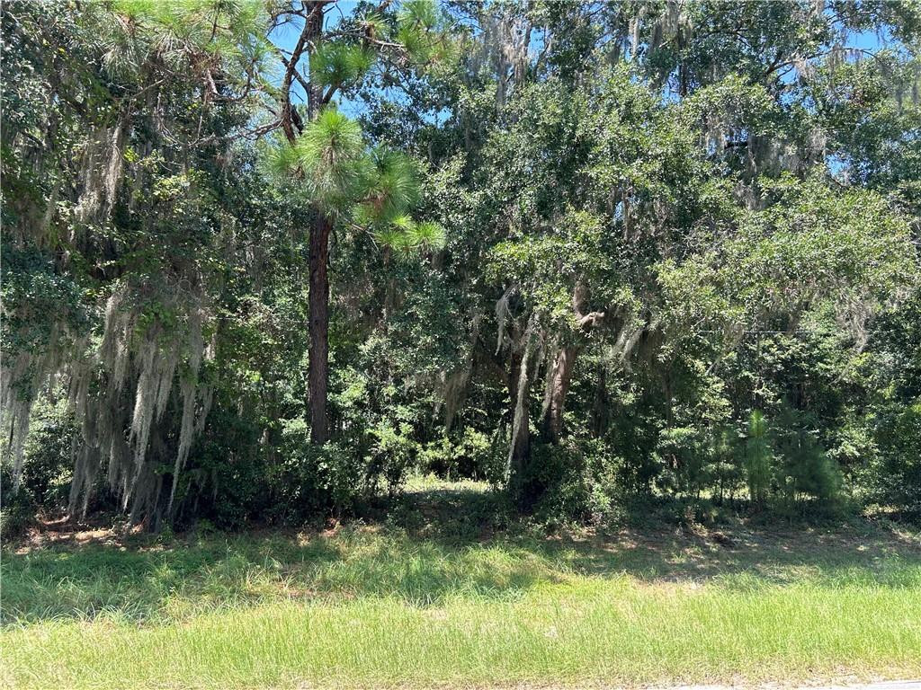0 Smith Road Southeast, Unit 14 Townsend, GA 31331 - Photo 1 of 1