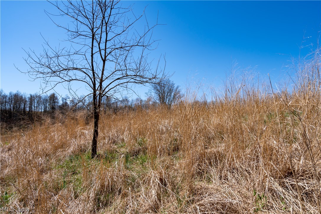 Sealover Hollow Rd Road Philo, OH 43771 - Photo 22 of 36