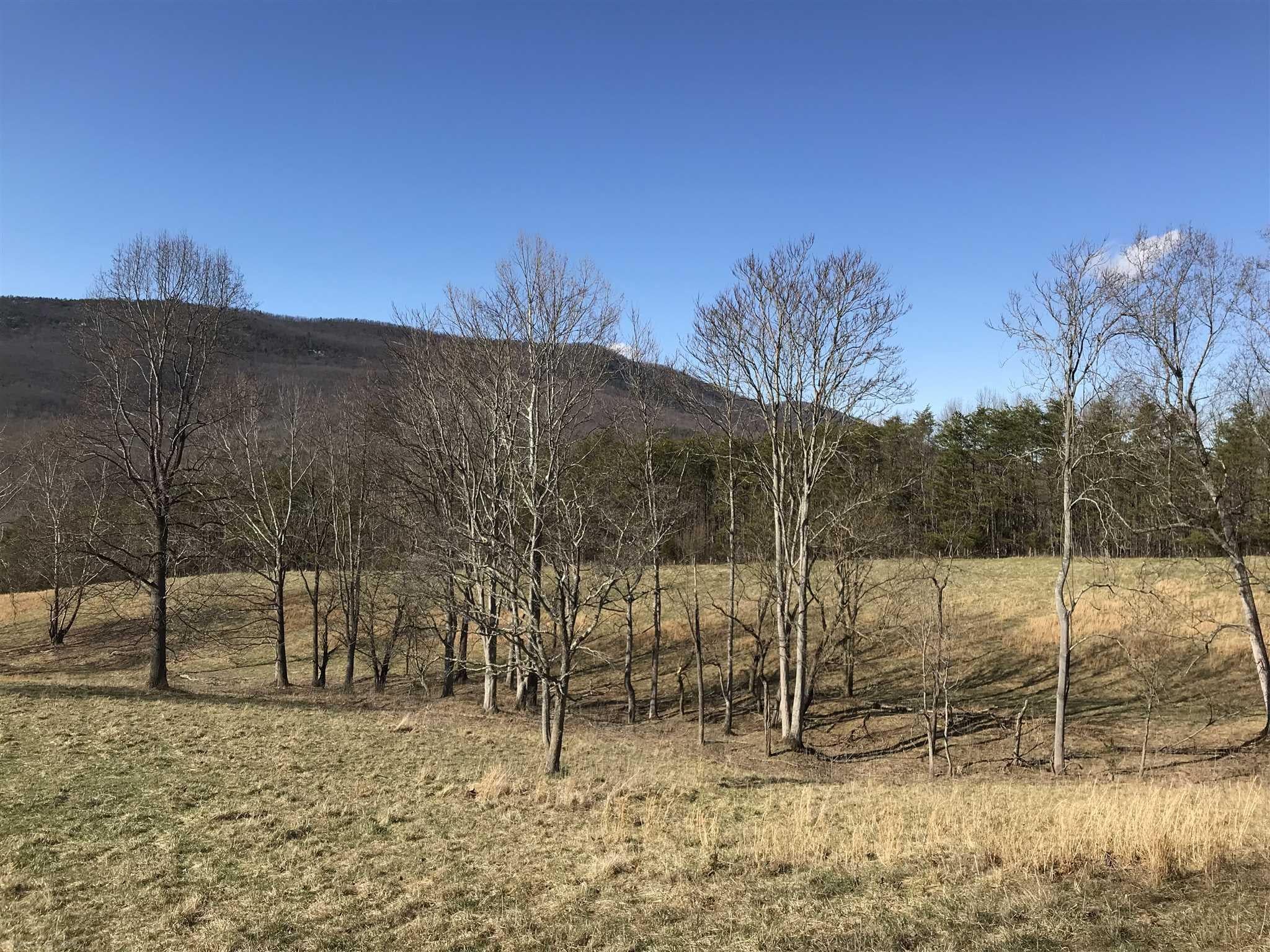 0 Plank Road Lexington, VA 24450 - Photo 3 of 20 Gallery Image 3
