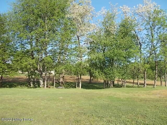 331 Harrison Fork Road Bardstown, KY 40004 - Photo 7 of 33 007 (2)