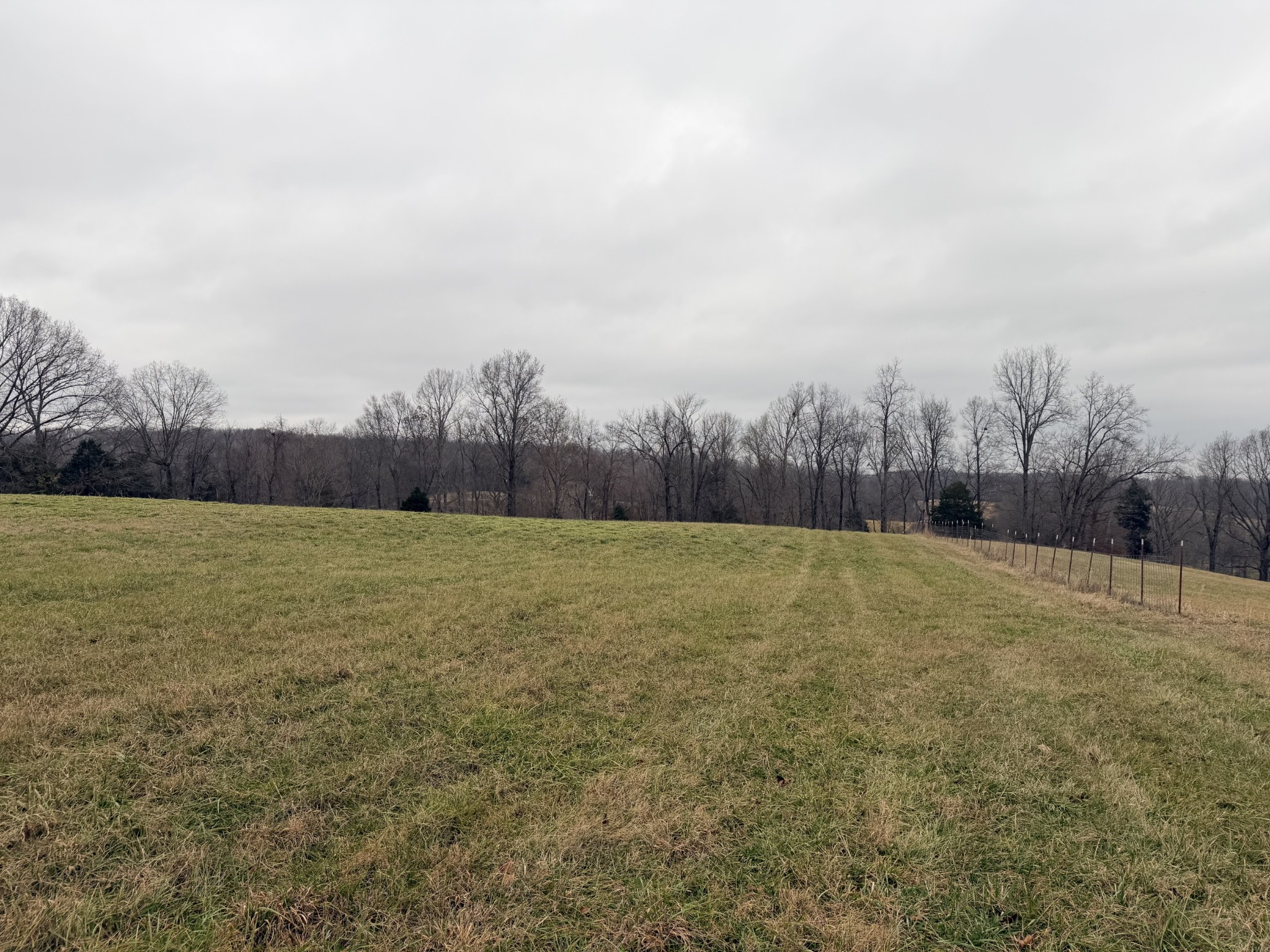 1516 Columbia Road Dickson, TN 37055 - Photo 9 of 9