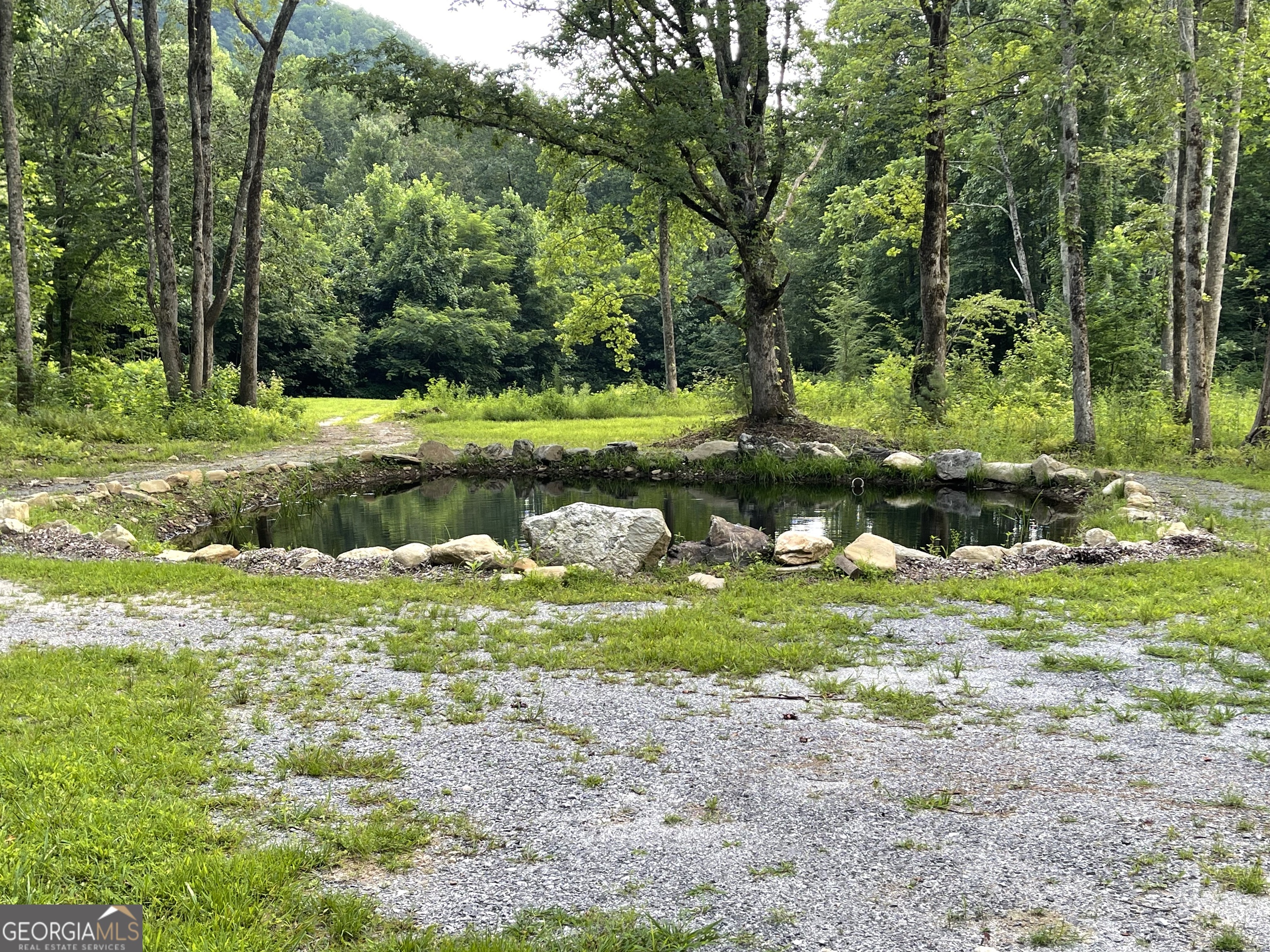 1449 Muskrat Creek Road Hayesville, NC 28904 - Photo 40 of 95