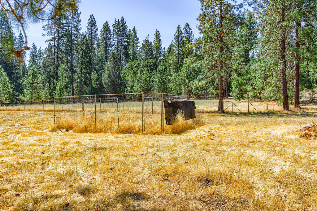 1065 Minthorne Road Rogue River, OR 97537 - Photo 13 of 49 MR(16)