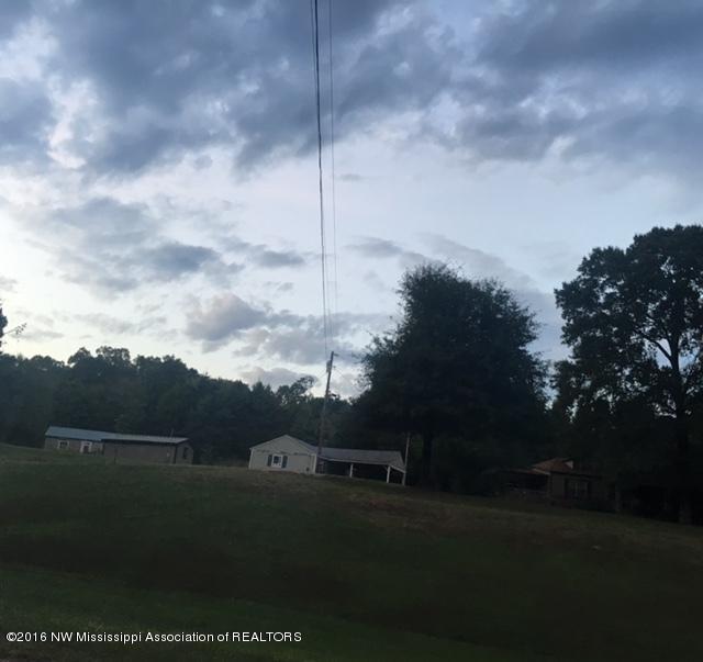 467 East Tate Road Coldwater, MS 38618 - Photo 11 of 41 east tate road 4
