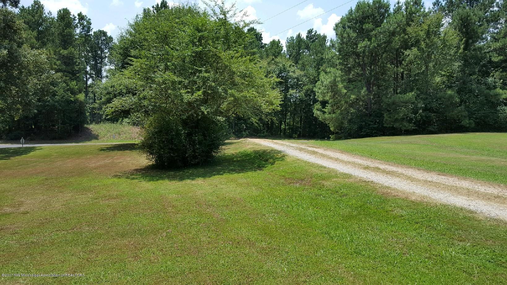 467 East Tate Road Coldwater, MS 38618 - Photo 2 of 41 IMG_2562