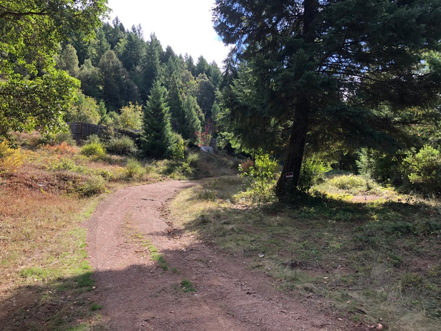100 Forest Creek Road Selma, OR 97538 - Photo 1 of 14 Primary Photo