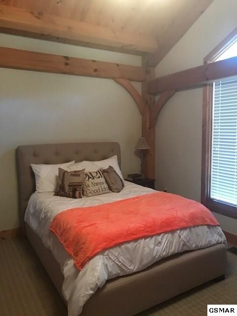 3839 Bear Track Way Del Rio, TN 37727 - Photo 18 of 36 Gallery Image 18
