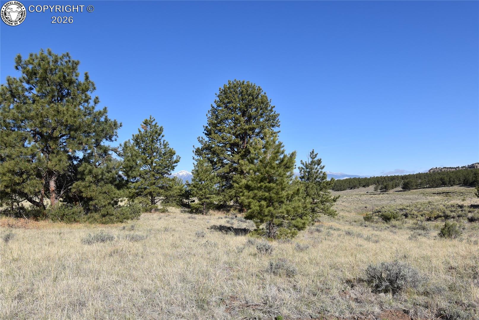 763 Apache Road Westcliffe, CO 81252 - Photo 16 of 19 Gallery Image 16