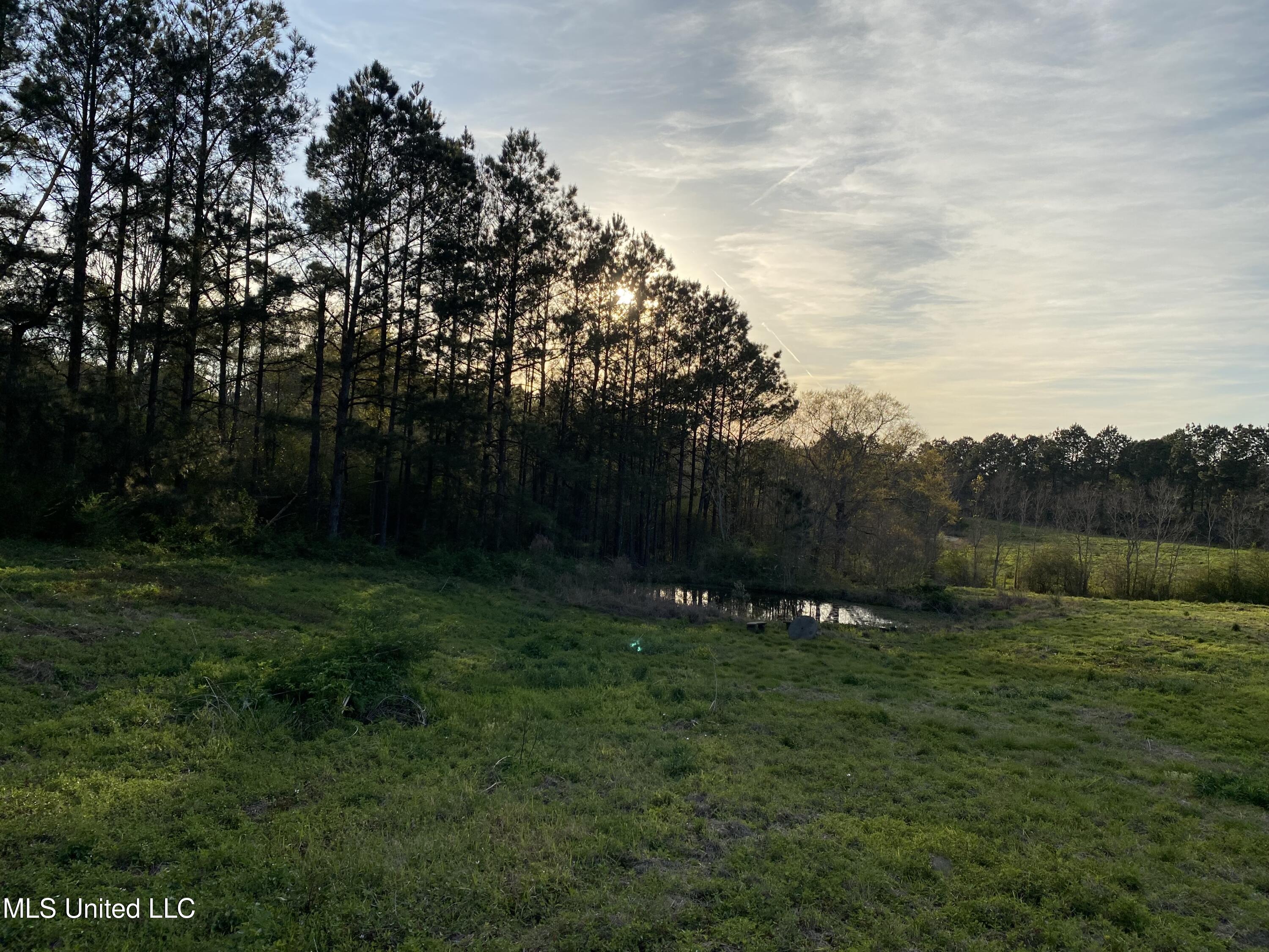2441 Bouie Road Carriere, MS 39426 - Photo 2 of 8 5) 67369-698235f7c0cef
