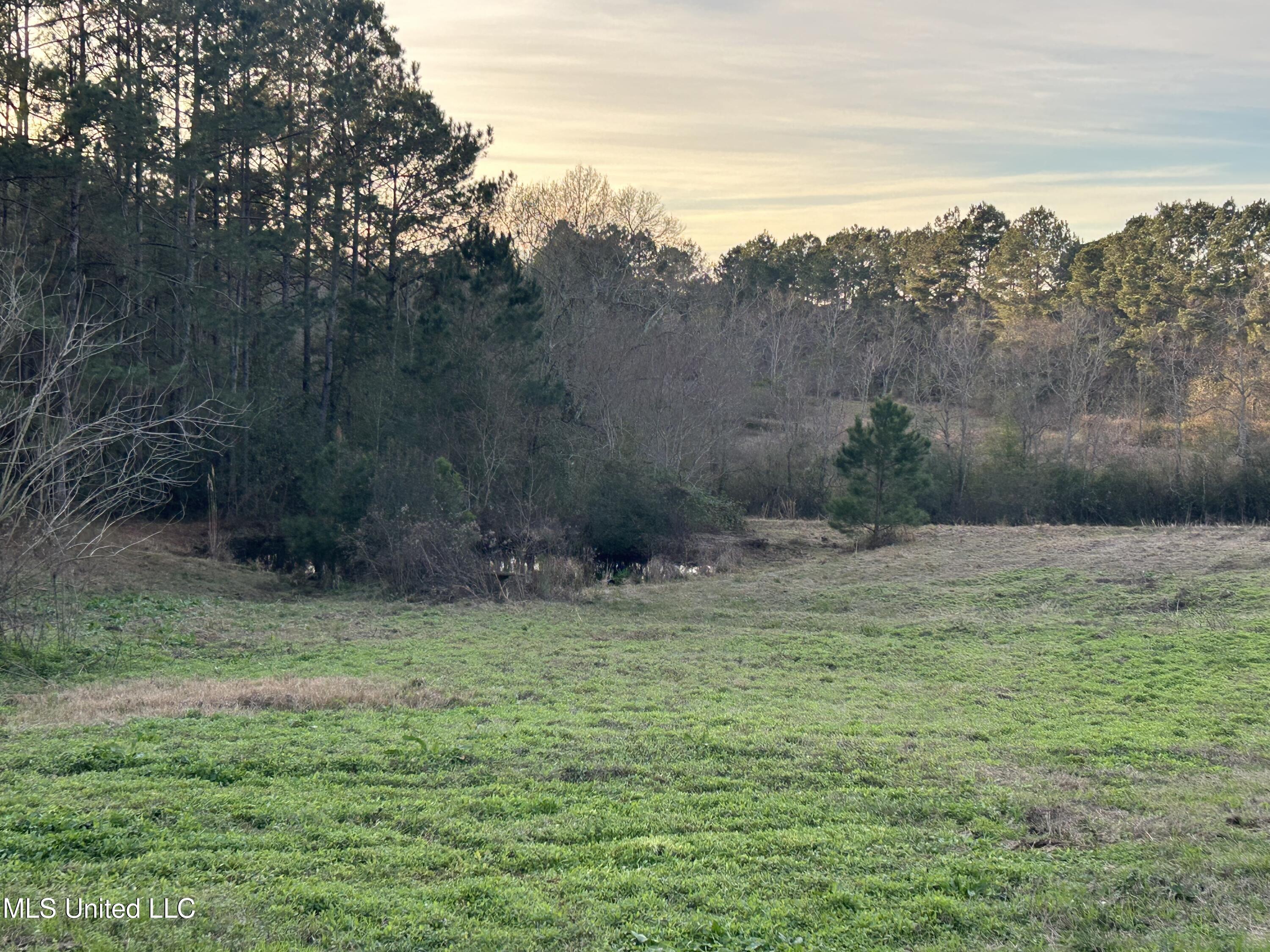 2441 Bouie Road Carriere, MS 39426 - Photo 3 of 8 6) 67369-698235f70964f