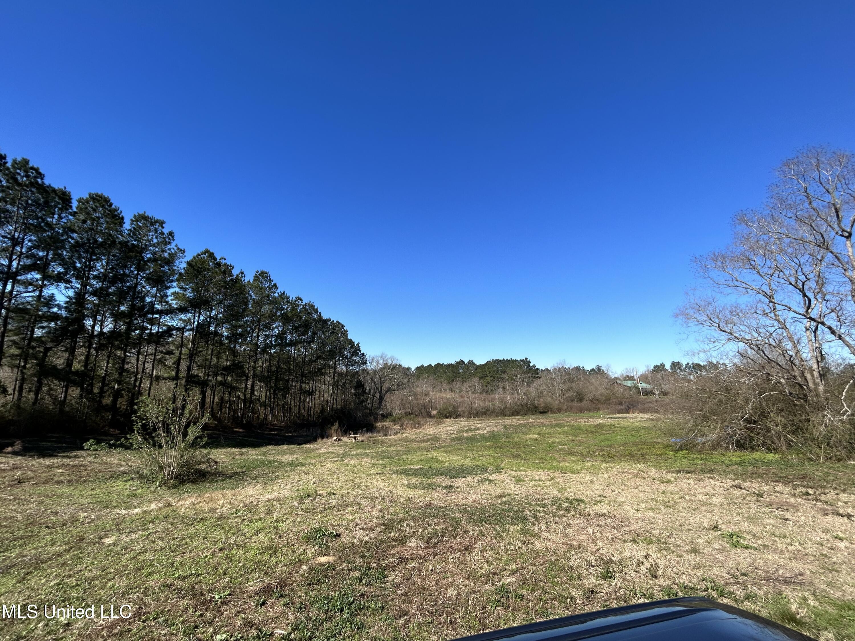 2441 Bouie Road Carriere, MS 39426 - Photo 4 of 8 7) 67369-698235f6a29b5