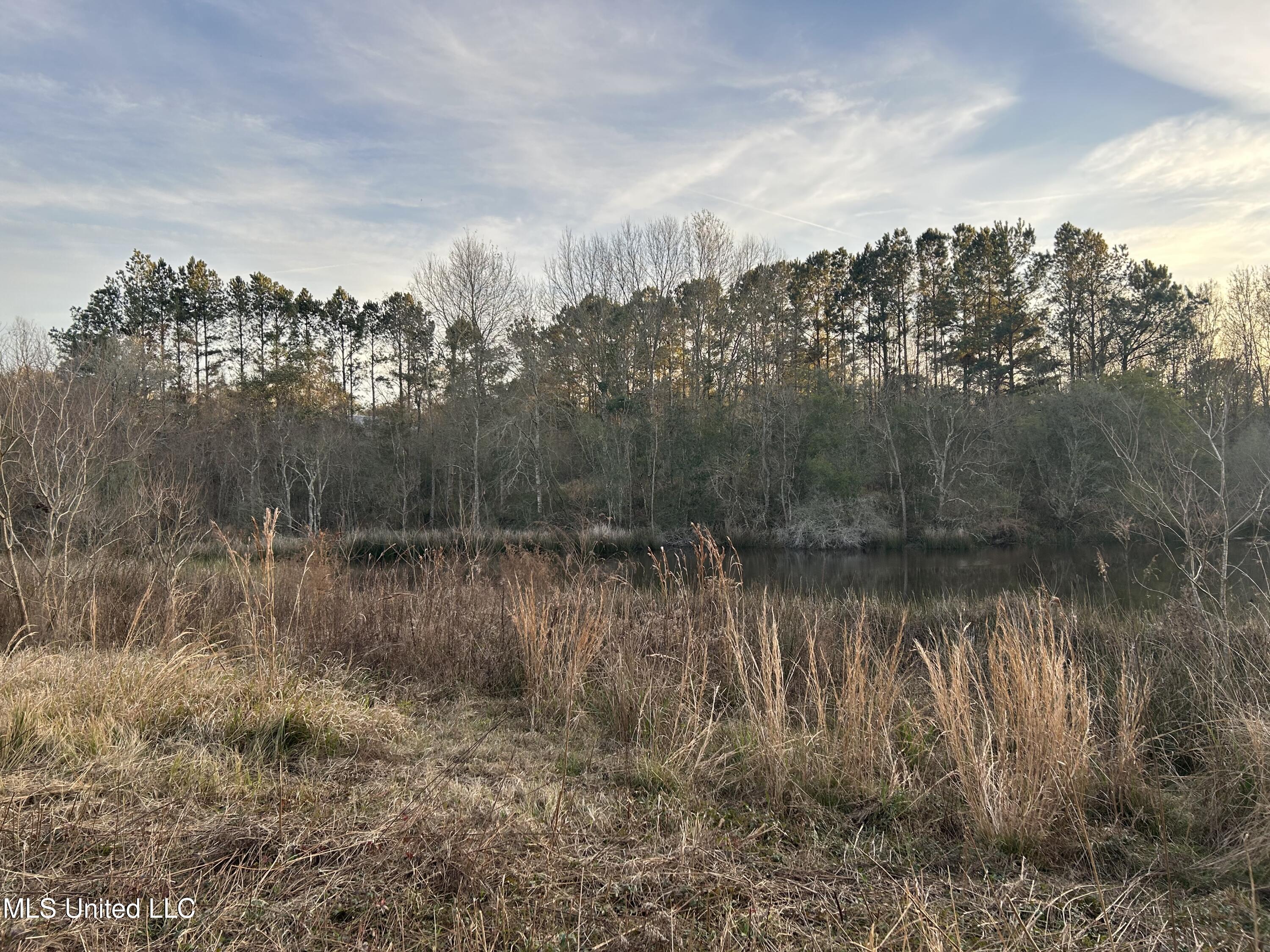 2441 Bouie Road Carriere, MS 39426 - Photo 5 of 8 8) 67369-698235fb63ff7