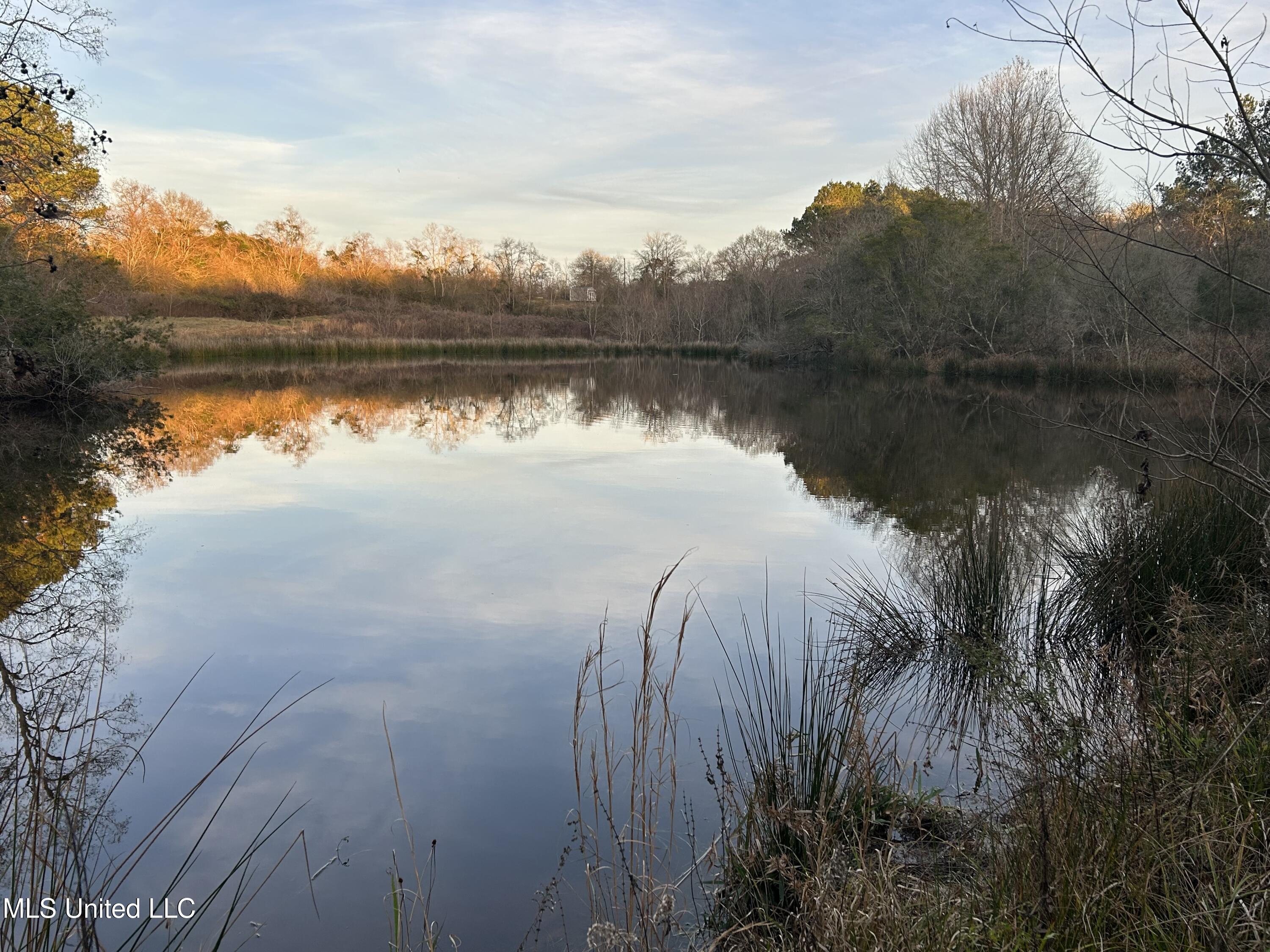 2441 Bouie Road Carriere, MS 39426 - Photo 6 of 8 9) 67369-698235f641774
