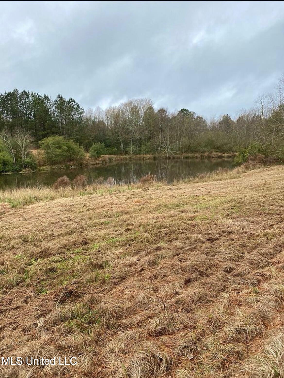 2441 Bouie Road Carriere, MS 39426 - Photo 7 of 8 10) 67369-698235f4d4dd1