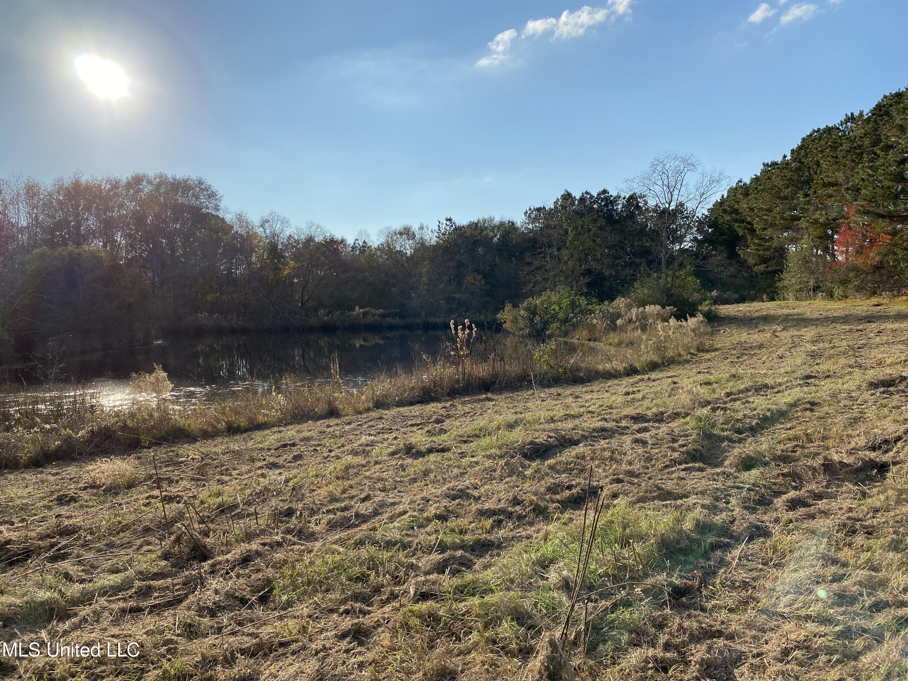 2441 Bouie Road Carriere, MS 39426 - Photo 8 of 8 11) 67369-698235f83e727