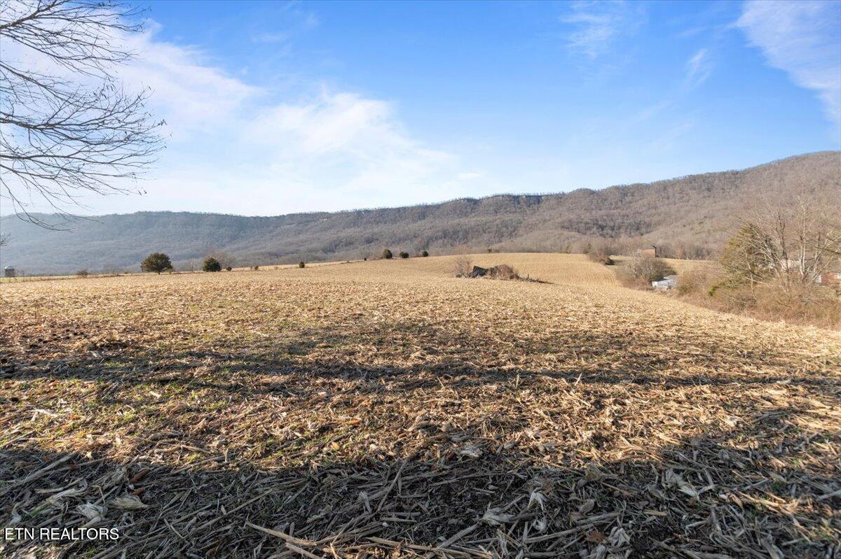 1203 Cross Valley Road La Follette, TN 37766 - Photo 7 of 14 07-2FFEB241-EBE9-40AF-B7FB-E6F45C706E18