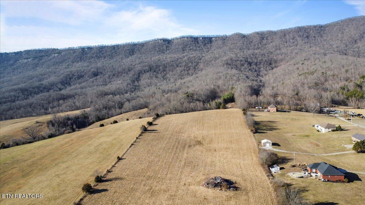 1203 Cross Valley Road La Follette, TN 37766 - Photo 8 of 14 08-E81CF119-605B-456E-A178-6D1B60A3CDDD