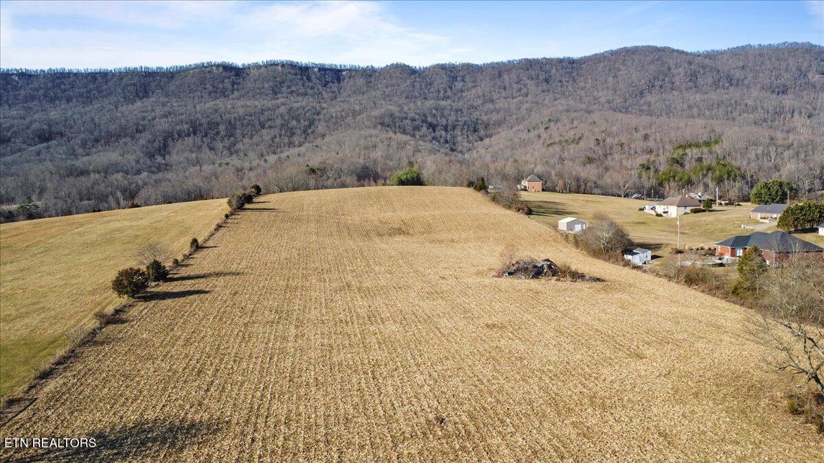 1203 Cross Valley Road La Follette, TN 37766 - Photo 10 of 14 10-D80FEEA0-34C0-4E5A-9087-BC24042527C1