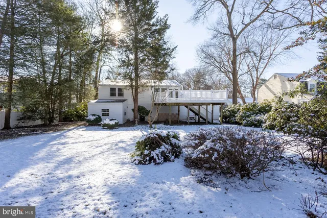 a view of a yard with plants and trees