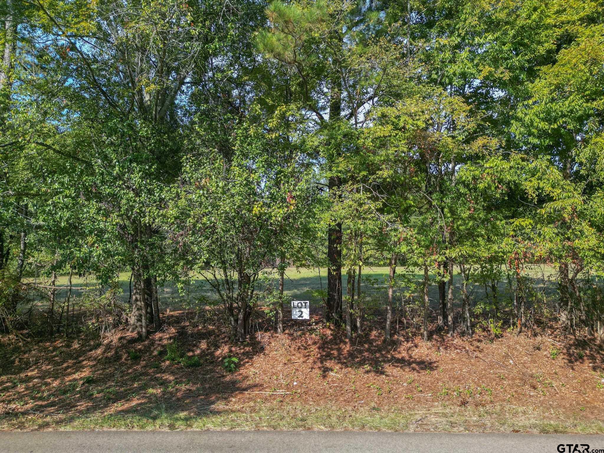 Lot 2 Willingham Road Whitehouse, TX 75791 - Photo 3 of 12 Gallery Image 3