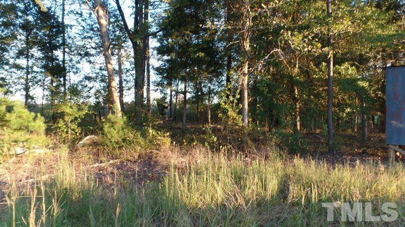 340 Haywood Bailey Road Roxboro, NC 27574 - Photo 7 of 13