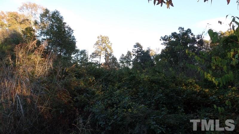 340 Haywood Bailey Road Roxboro, NC 27574 - Photo 8 of 13