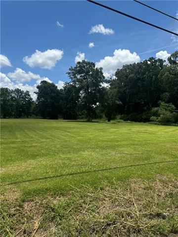 49090 Stafford Road Tickfaw, LA 70466 - Photo 2 of 8