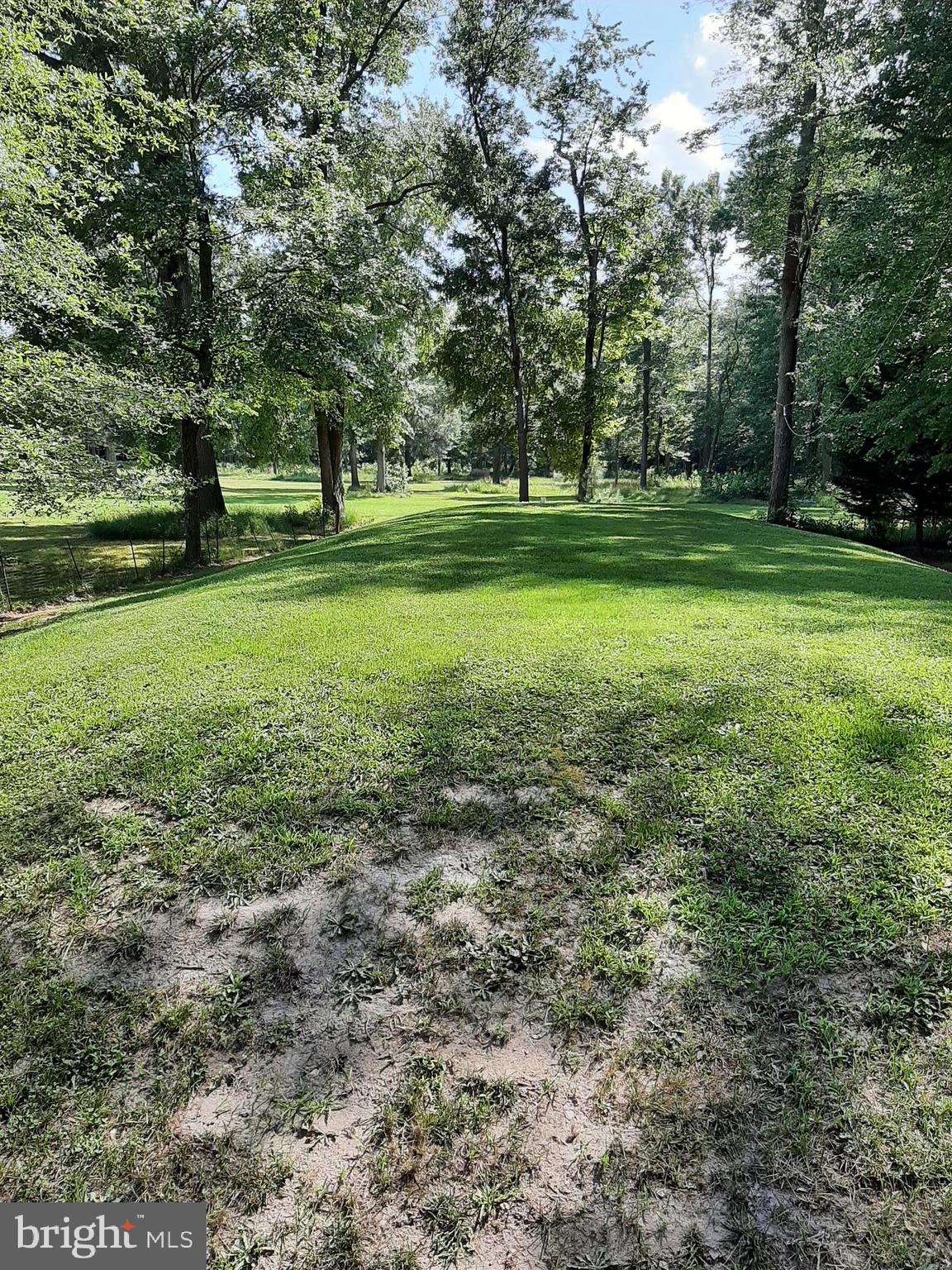 3795 Sandy Bend Road Hartly, DE 19953 - Photo 10 of 24 Gallery Image 10