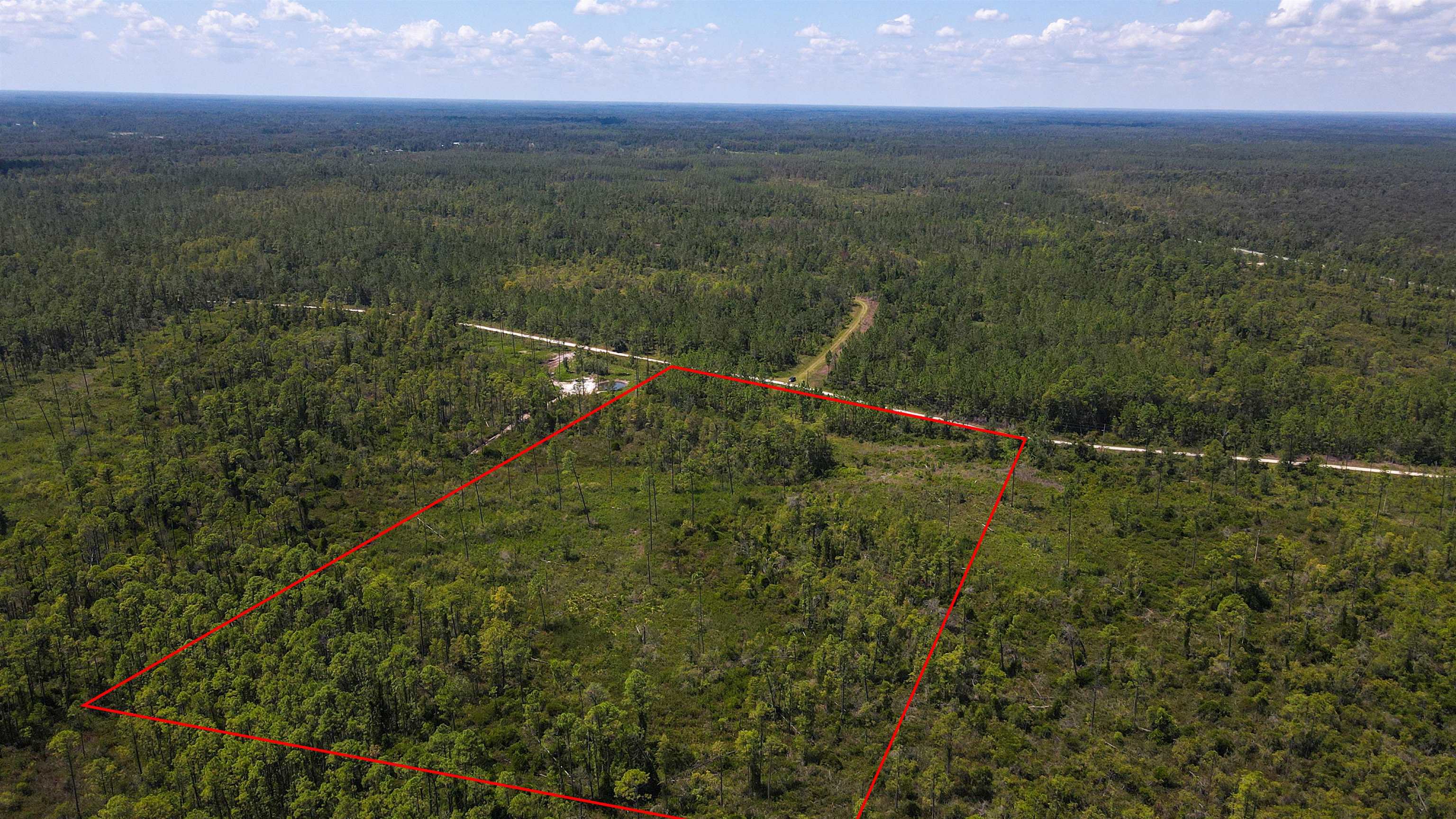 5 Rogers Springs Road Greenville, FL 32331 - Photo 11 of 14