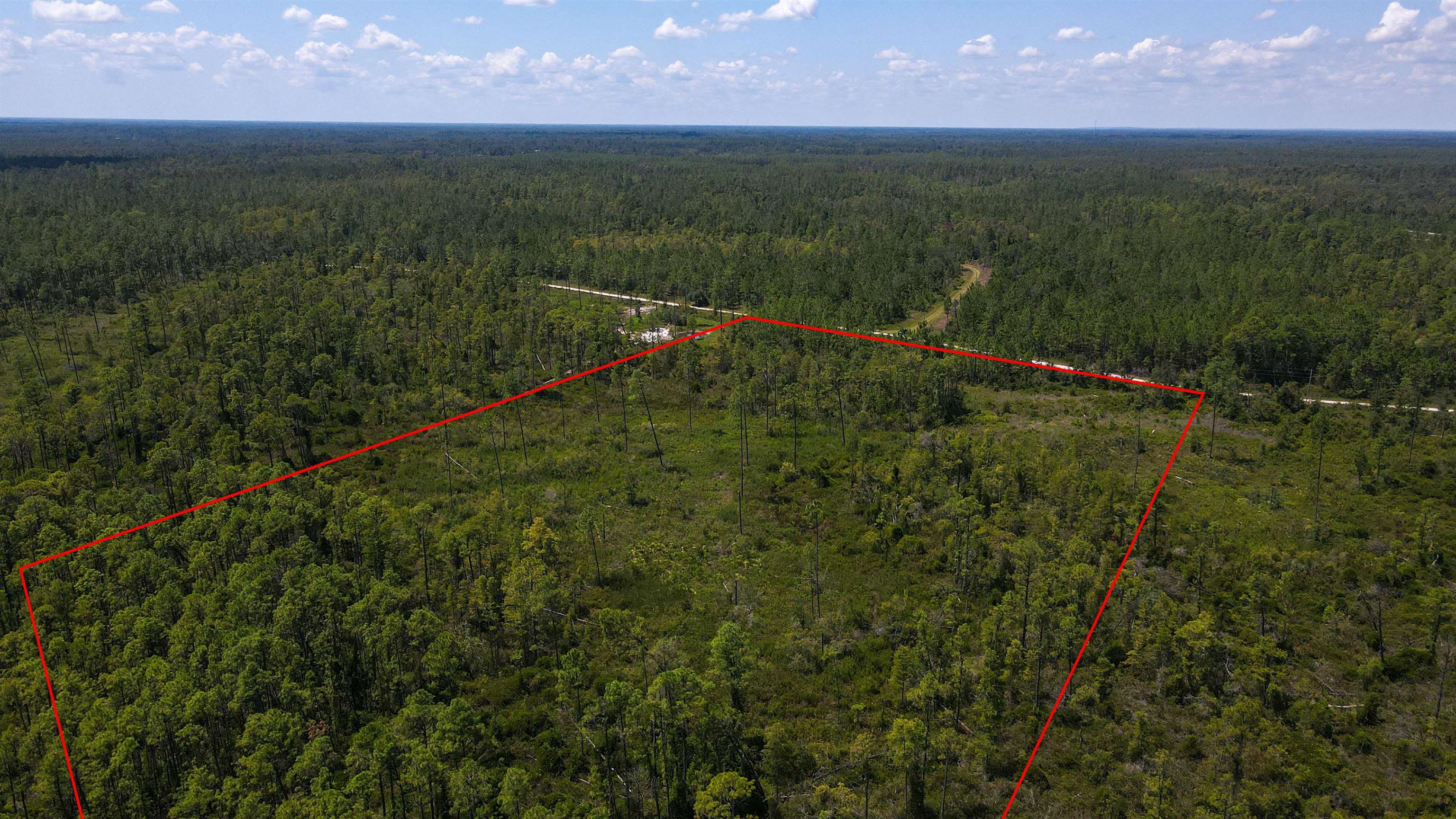 5 Rogers Springs Road Greenville, FL 32331 - Photo 12 of 14