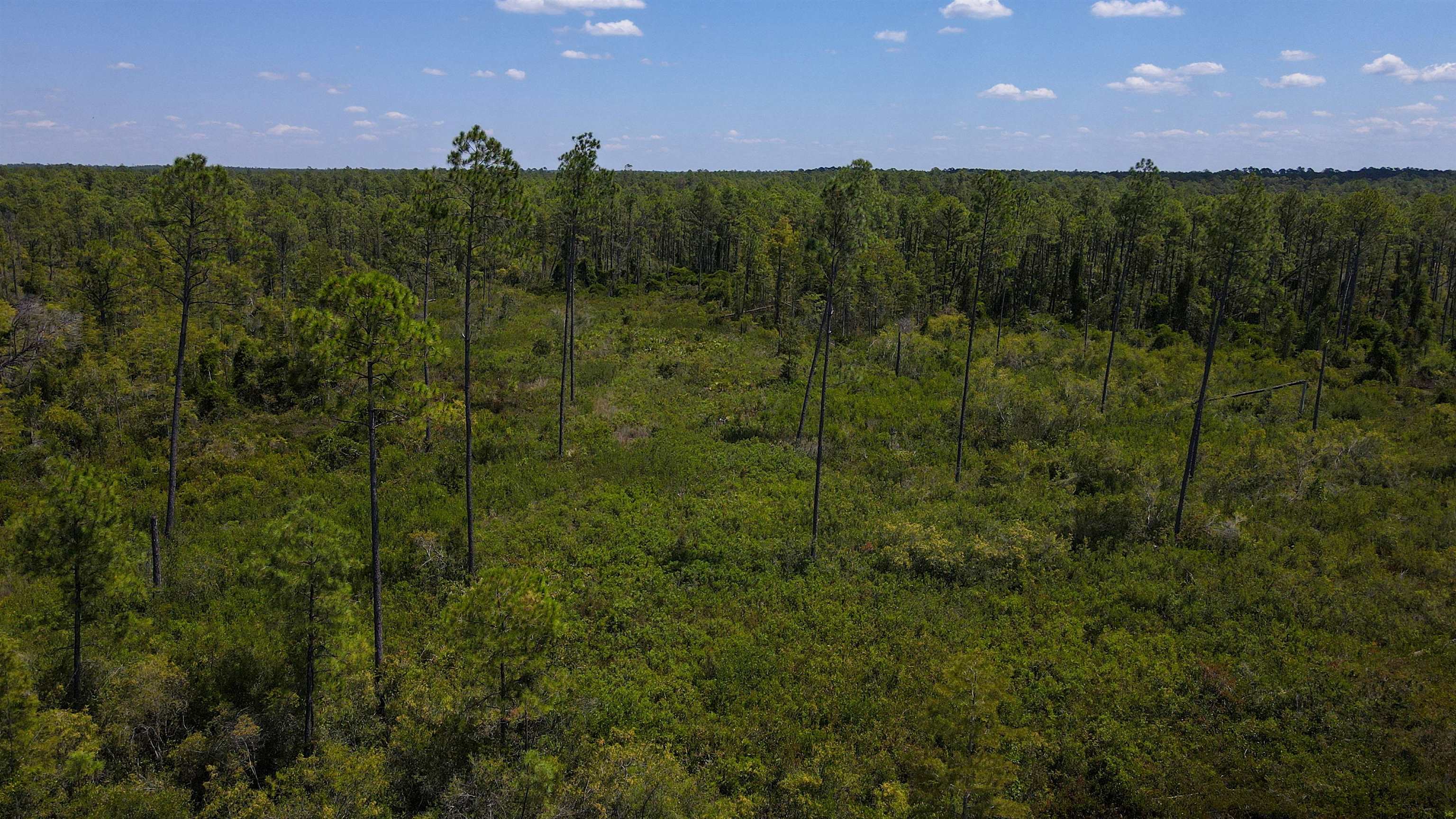 5 Rogers Springs Road Greenville, FL 32331 - Photo 2 of 14