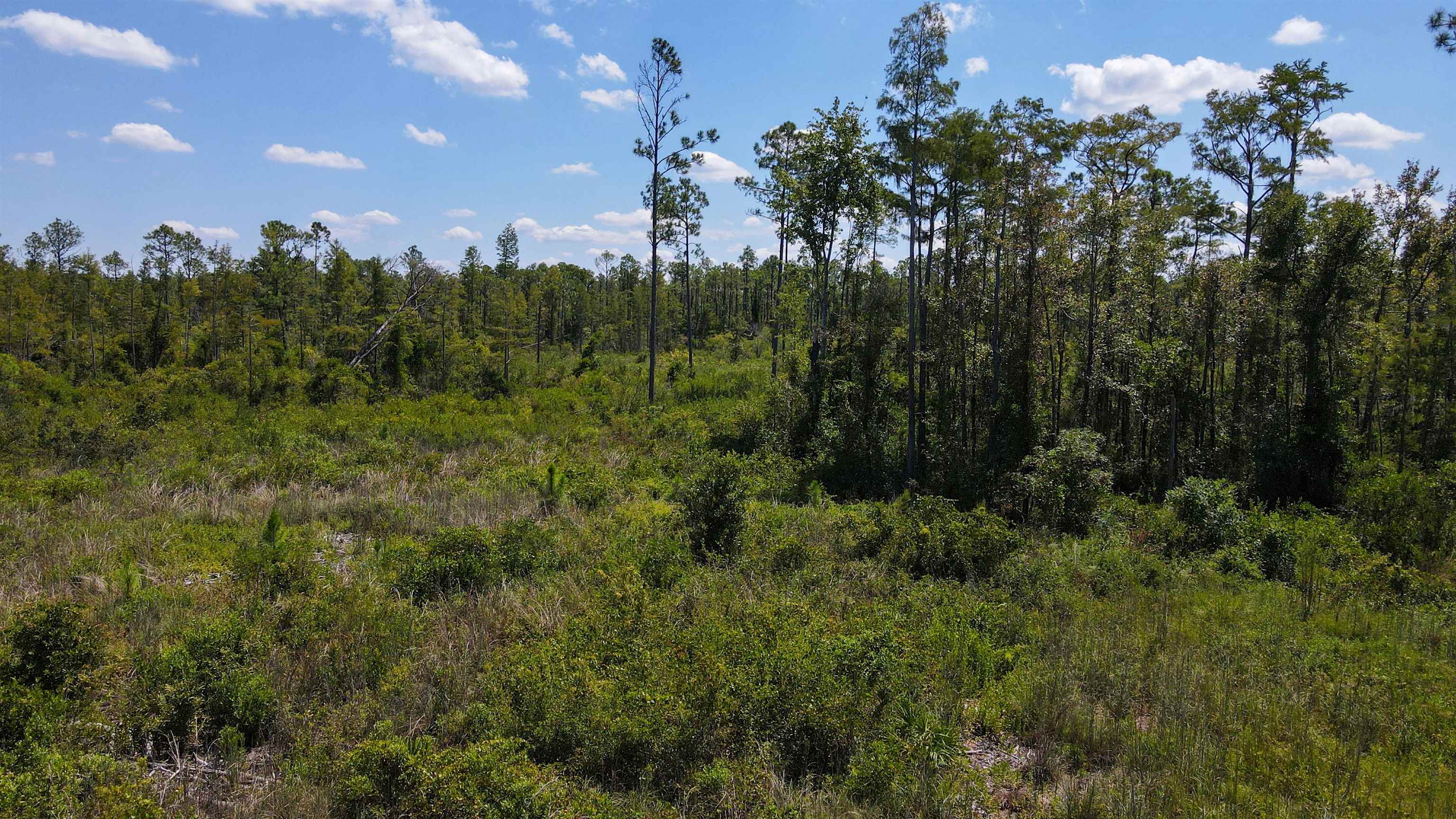 5 Rogers Springs Road Greenville, FL 32331 - Photo 3 of 14