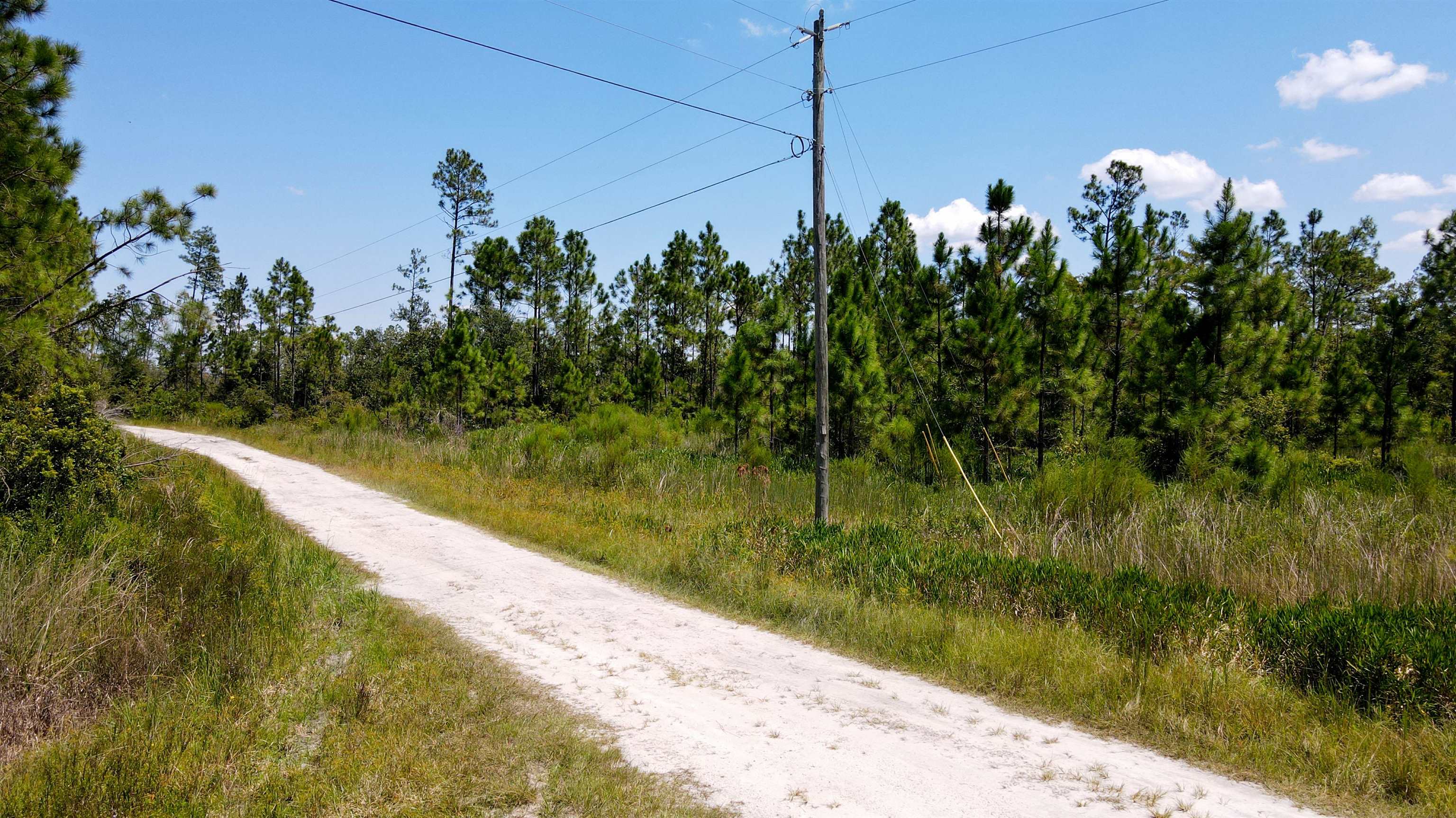 5 Rogers Springs Road Greenville, FL 32331 - Photo 4 of 14