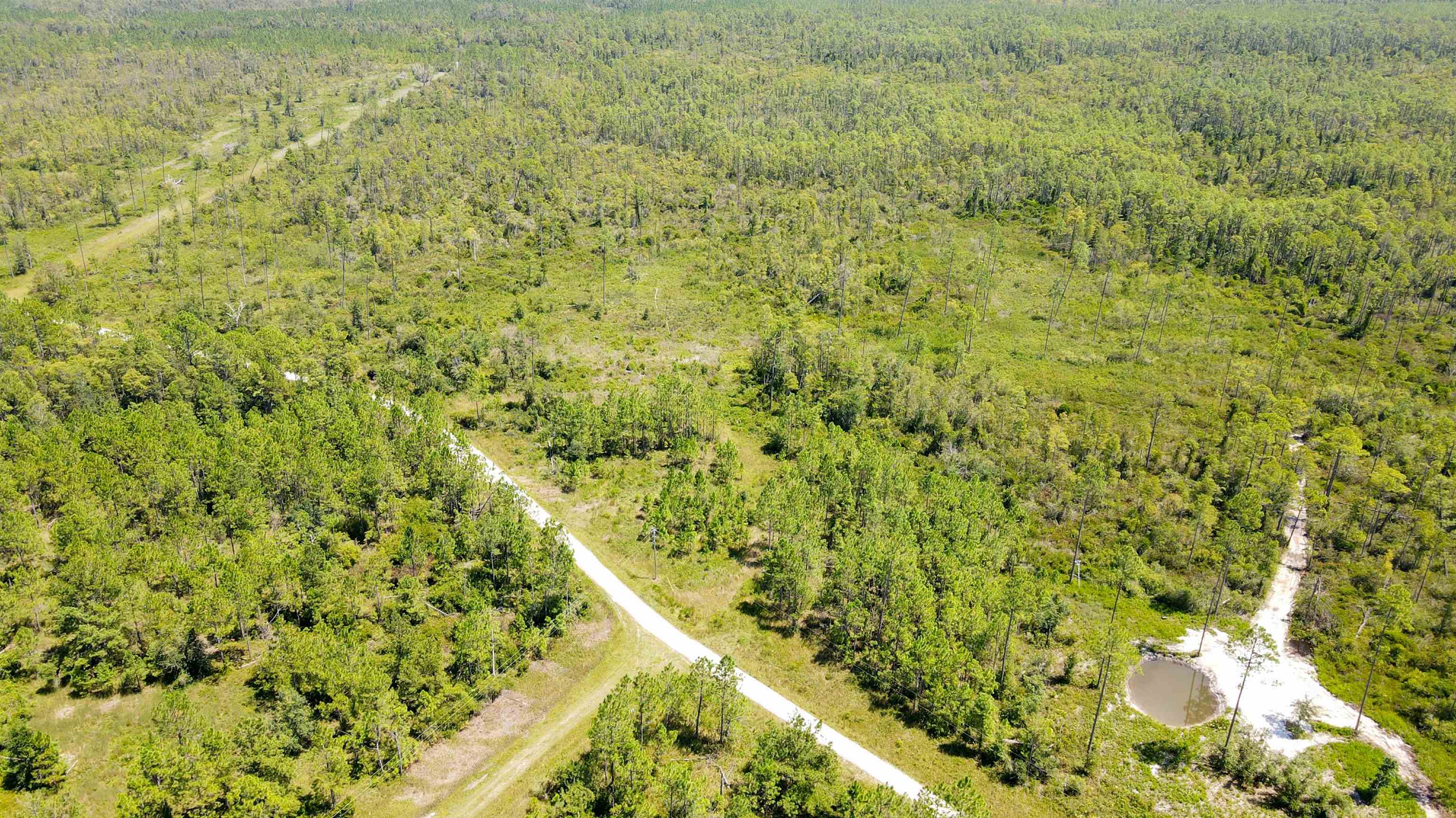 5 Rogers Springs Road Greenville, FL 32331 - Photo 7 of 14