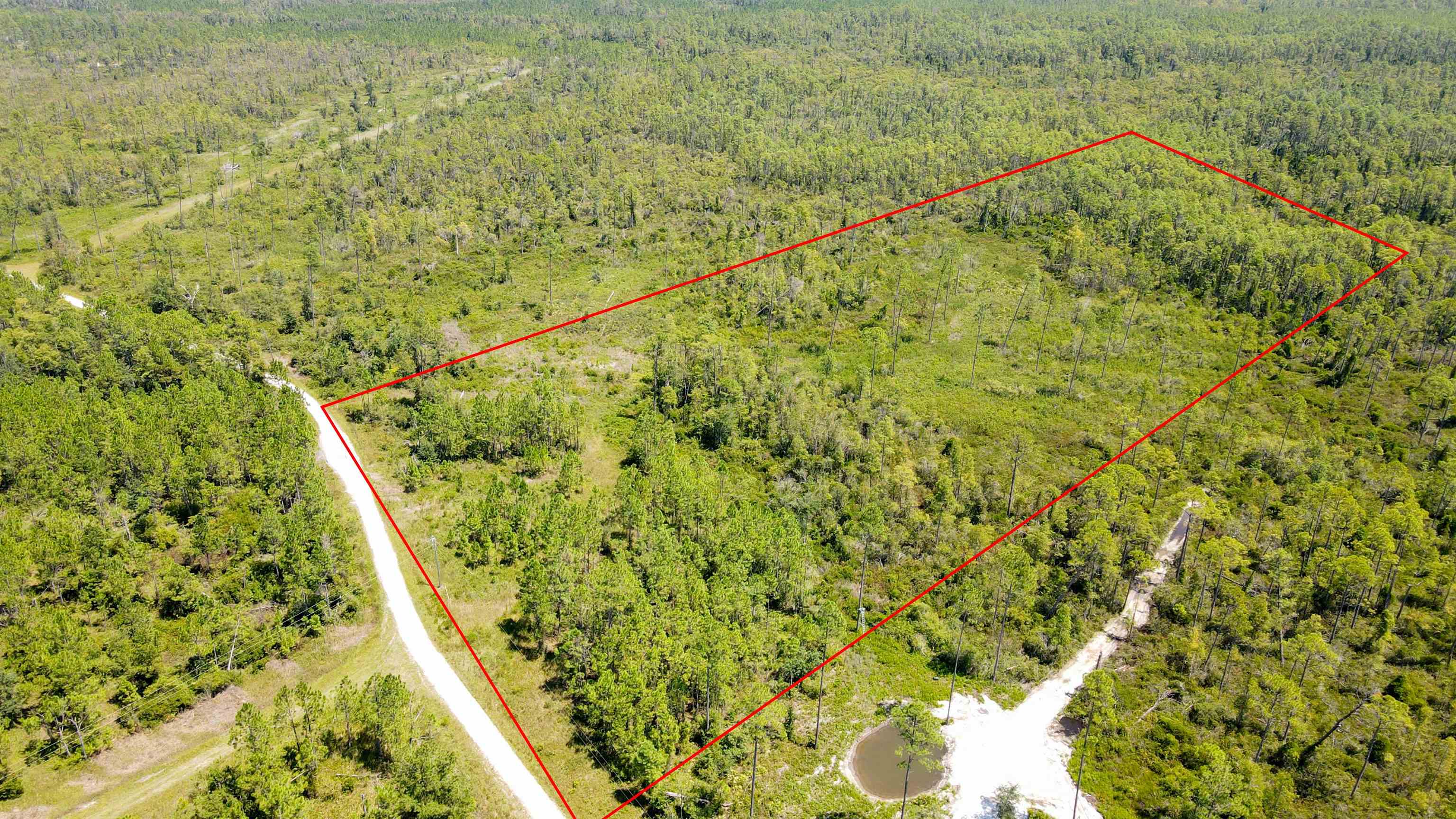 5 Rogers Springs Road Greenville, FL 32331 - Photo 8 of 14