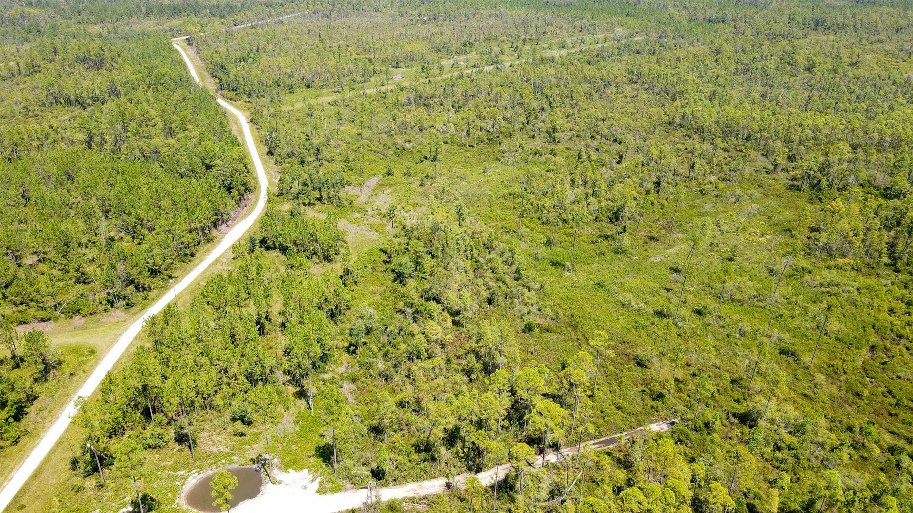 5 Rogers Springs Road Greenville, FL 32331 - Photo 9 of 14