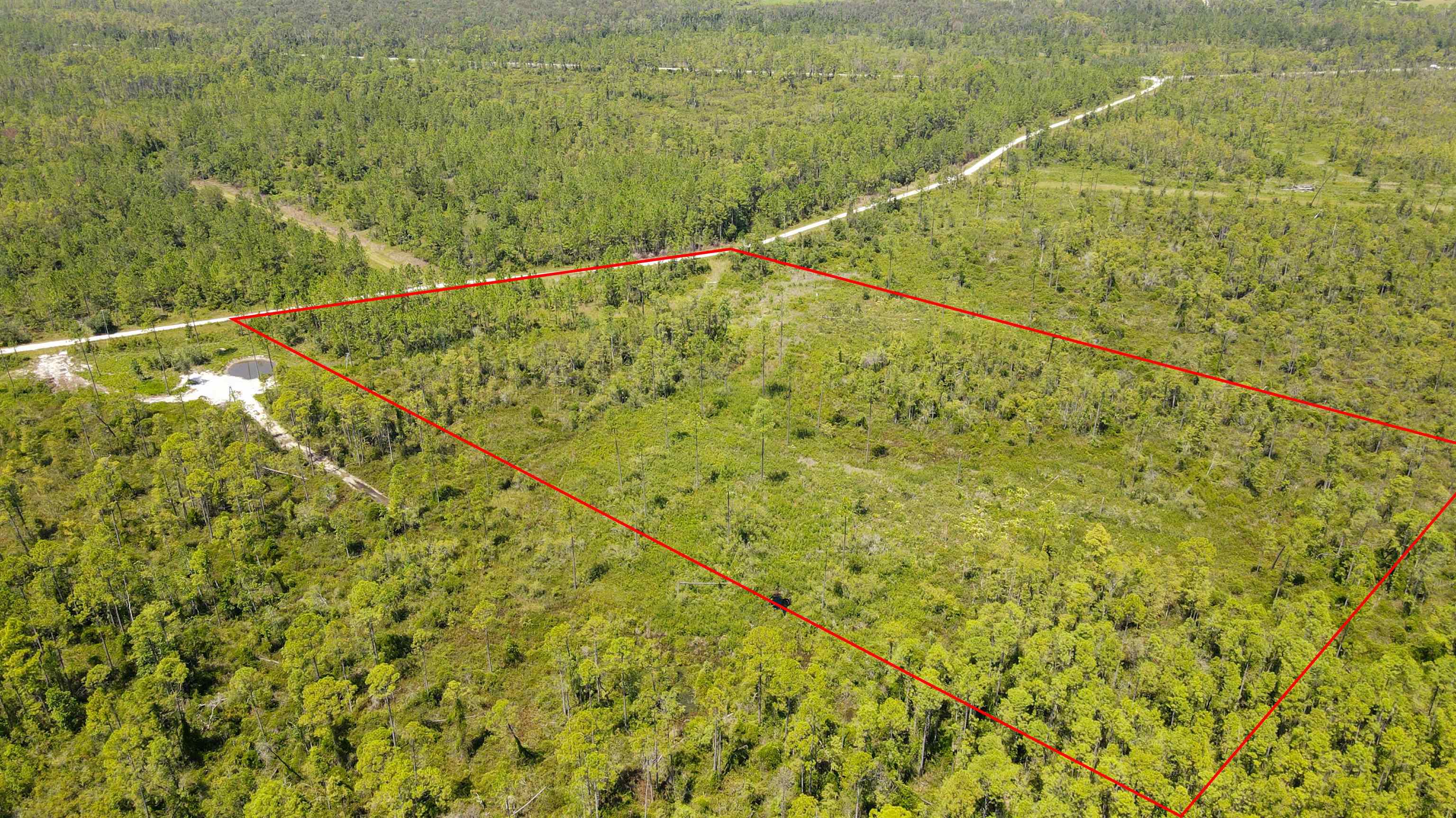 5 Rogers Springs Road Greenville, FL 32331 - Photo 10 of 14