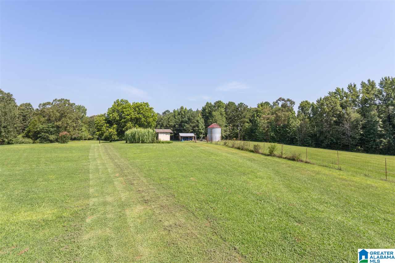 724 Jonesview Road Talladega, AL 35160 - Photo 2 of 50