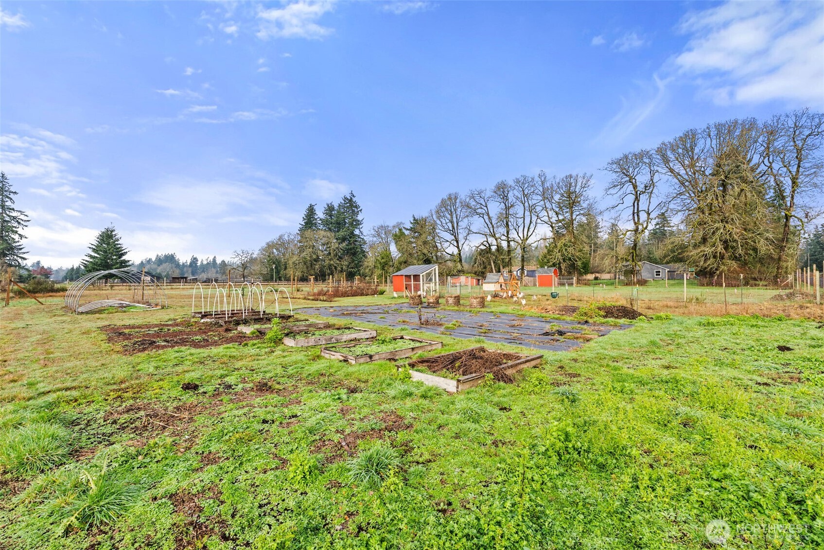 16033 Gibson Road Southwest Tenino, WA 98589 - Photo 34 of 39