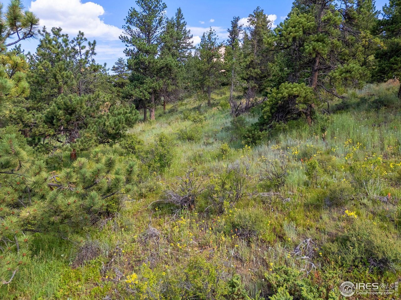 1445 Ridge Road Nederland, CO 80466 - Photo 6 of 19 Gallery Image 6