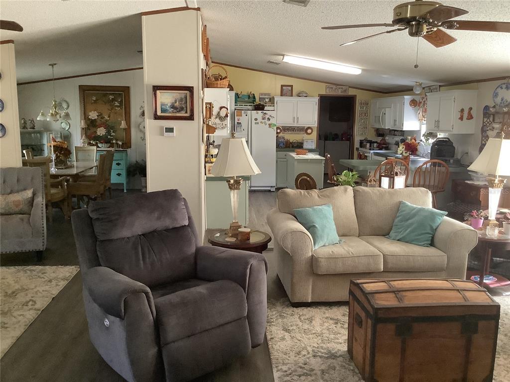 34926 Punch Road Dade City, FL 33523 - Photo 48 of 75 a living room with furniture and kitchen view