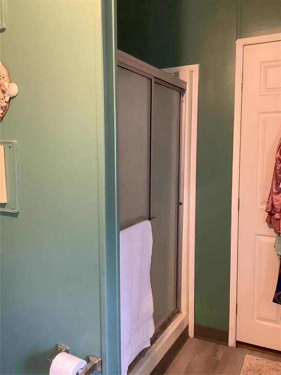 34926 Punch Road Dade City, FL 33523 - Photo 59 of 75 a bathroom with a mirror